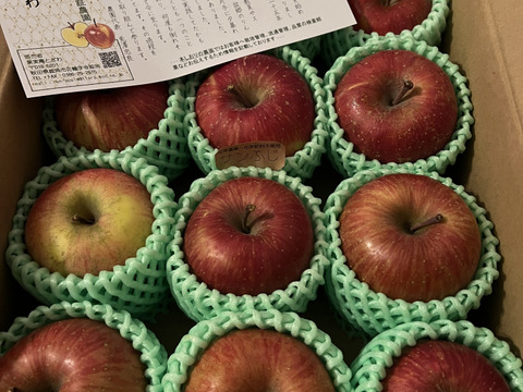 【小玉】☆化学農薬不使用りんご☆サンふじ/小玉12〜15個入り（2.5キロ）