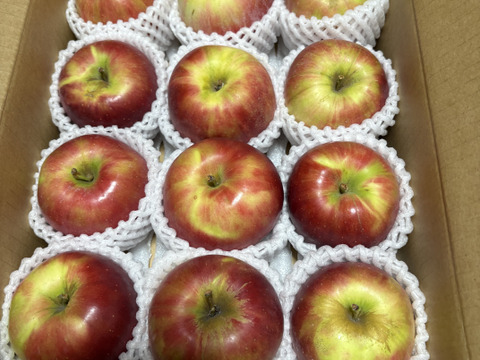 近日第二弾受付いたします♪【お届けは9月下旬～】紅玉(おうち用)３ｋｇ