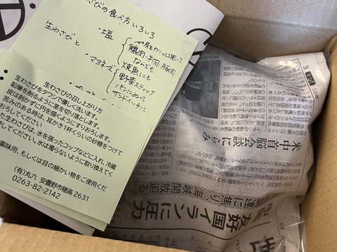 【産地直送4月21日収穫分】創業125年安曇野の湧水育ち。安曇野産本生わさび。貴重な大サイズ３００ｇ。新品種。