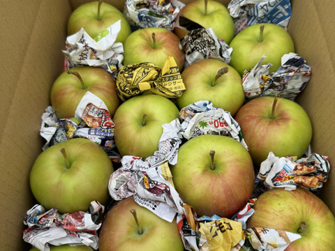 【希少品種】 夏緑(りんご) 14個入り　約3キロ