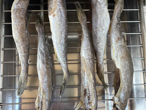 【北海道冬の味覚】干し氷下魚(コマイ)　500ｇ(250ｇ×2個入り)