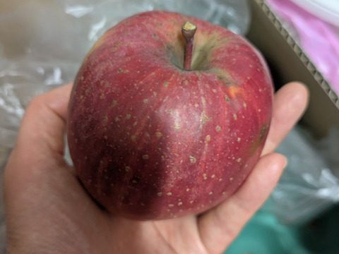 終わります🍎りんごグランプリ2025最高金賞1位🎊サンふじ 3キロ箱 家庭用  6玉〜15玉サイズ 傷あり  ID80274 安曇野 リンゴ 幻 幻のリンゴ 希少  甘い