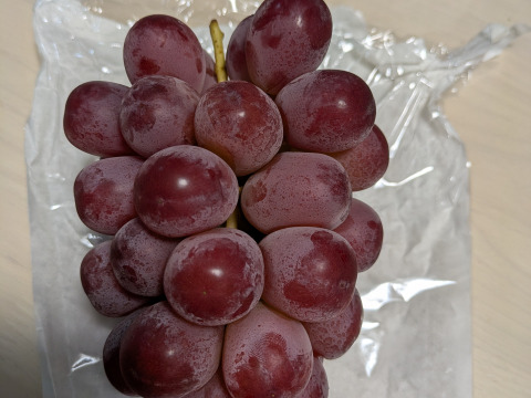 ◯完売御礼◯【家庭用】クイーンルージュ　1.0kg/2~3房