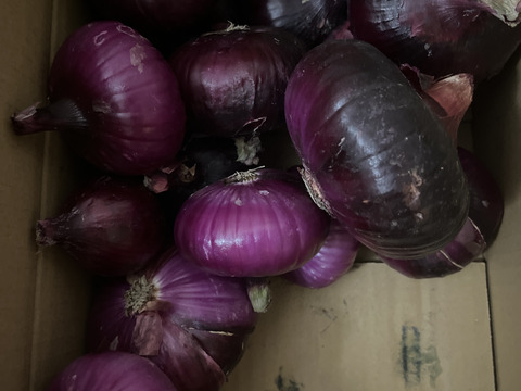【訳あり】農薬、除草剤不使用！淡路島紫玉ねぎ 赤玉ねぎ3kg