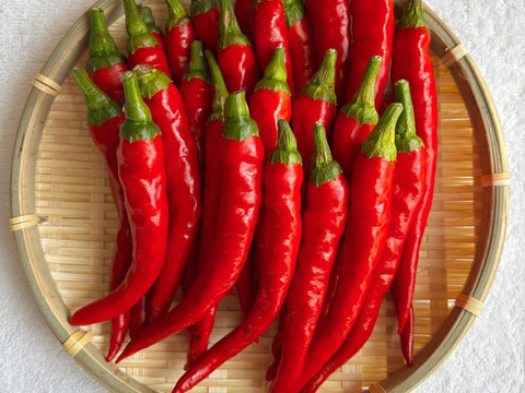 【自然力で育てる生産方法】
岩手伝統野菜の南部大長南蛮🌶️採れたて野菜を乾燥させました。【風味】【甘味】【辛味】の三拍子を備えた唐辛子で冬の時期には欠かせない【身体を温める効果】がありオススメです！