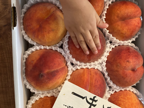 ワッサー　　信州ならではの桃　訳あり　ご家庭専用コース　3キロ　ただ今ご好評販売・順次発送中