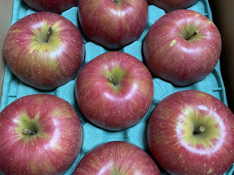 【甘いりんご解禁です🍎】 シナノスイート 3キロ箱 6玉〜15玉サイズ ID42539  甘い 長野県 信州 安曇野 リンゴ 幻 幻のリンゴ 予約 希少 旬