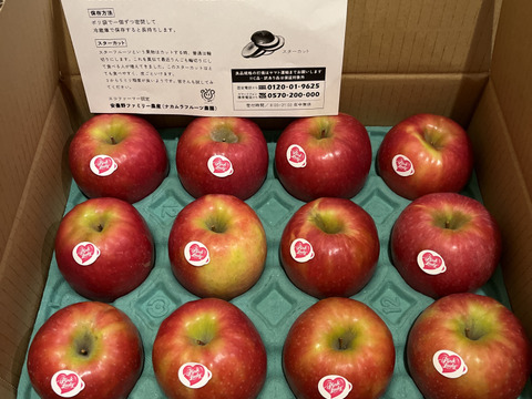 【終わります残り30ケース🍎シャキうま🍎】 ピンクレディー®︎3キロ箱  長野県 信州 安曇野 リンゴ 幻 幻のリンゴ 予約 希少 旬 6玉〜16玉サイズ 商品ID42100