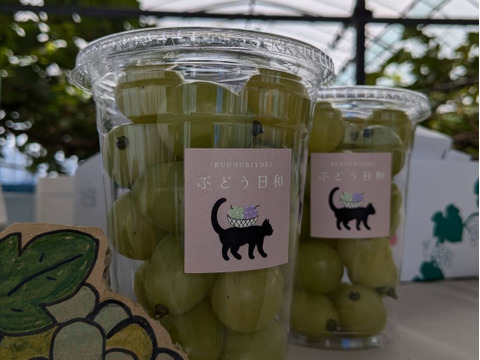 完熟！シャインマスカットカップ売り（1.2kg）