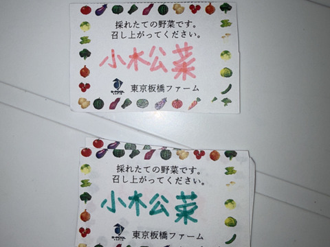 野菜セット【太陽の光を浴びました！】