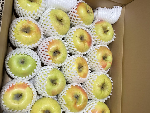 【販売開始！】青森県産りんご「ぐんま名月」家庭用 キズ有 約5kg 【光センサー選果・高リピート率】