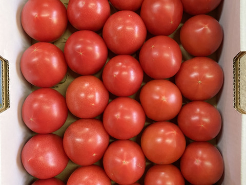 【小粒サイズ❗️】食べやすい大きさ‼️完熟トマト80サイズの箱でお届け❗️