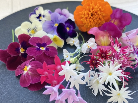 【福袋】マイクロリーフMIX20g・マイクロハーブ単品6種/各2g・エディブルフラワーミックス20輪　セット