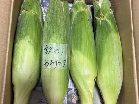 【2種類ミックス！】メロンより甘い糖度18度以上！ 生で食べられるあま～いフルーツコーン黄と白(2.5kg)