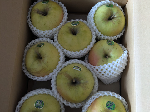 感謝！ありがとうございます！2024年度最終出荷【ぐんま名月】家庭用３キロ🍏おうちりんご🍏希少品種🍏