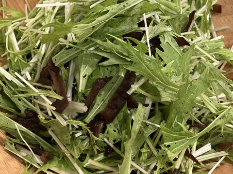 今が旬！希少な生キクラゲ【有機JAS認証取得】100g×４袋