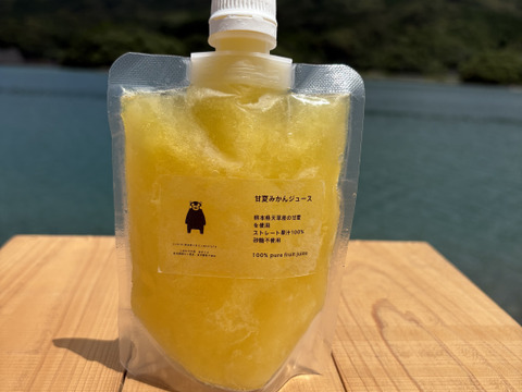 夏ギフト】冷凍甘夏みかんジュース6本セット（1本150ml）：熊本