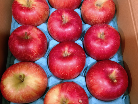 食べた時の果汁が凄い！家庭用シナノスイート（３kg 8〜10個）