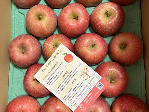 【王道サンふじ】　5㎏　13～20玉　本場青森りんご　農家直送　元気なりんご