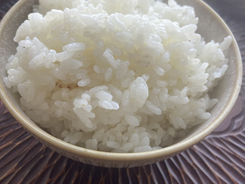 栽培期間中農薬化学肥料不使用！！貴重品種『くまみのり』20キロ　R7年産