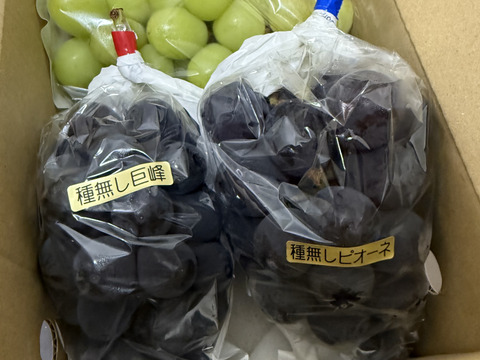 【おつとめ品】２種類のぶどう約1.2kg(３房)
★★最終盤で柔らかめかも★★