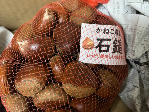 温湯処理済　しっとりなめらか石鎚2L(1kg)