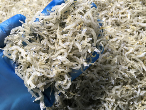 【ZIP!で紹介】瀬戸内の恵み4品セットお試し2000円　包丁、加熱不要のお手軽4品セット　ちりめん　釜揚げ、かえり、ちりめんひじきお得セット！【冷凍でのお届け】2500円超相当が20％以上お得OFF