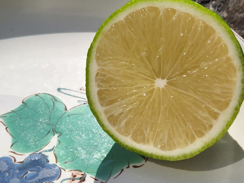 初物❗エコ箱入りレモン息子(栽培期間中農薬不使用・有機肥料・ノーワックス)皮まで食べて❗(2kg)