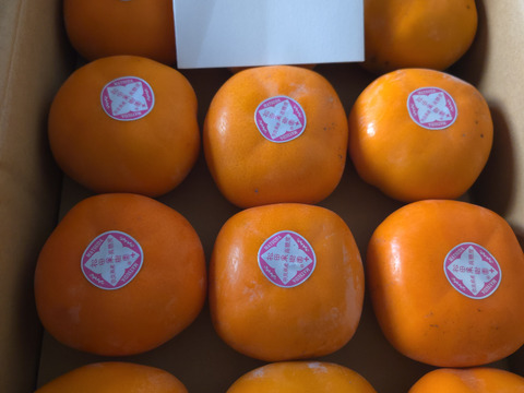 【ご予約】家庭用 糖度に自信！刀根早生柿誕生の地より直送 たねなし柿  SDG.s 2L～L　12玉入りです。たくさんの方に味わっていただきたくて企画しました。