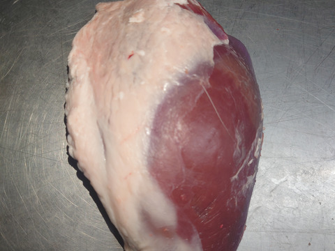 仔鹿（エゾシカ）のシンタマ！  モモの部位の１つで、シンシンや亀甲にトモサンカクが1ブロックになった部分です。730g