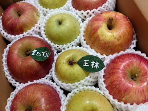 ★★新春セール★★【冬ギフト】【食べ比べ】 🍎大人気🍏葉とらずふじ・王林  計８～1２玉
詰め合わせ3キロ箱 ミックス ID118320