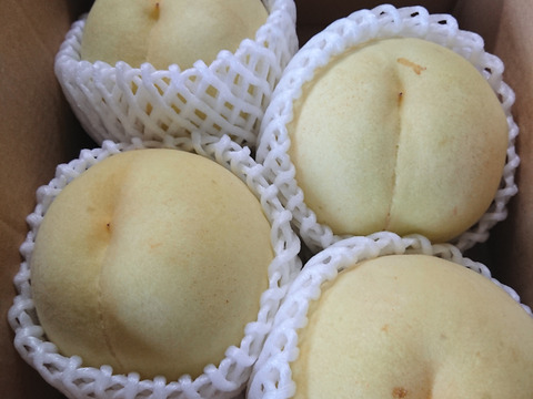 激レア‼️【今年最後の純白桃】甘々燦々！！1.5kg