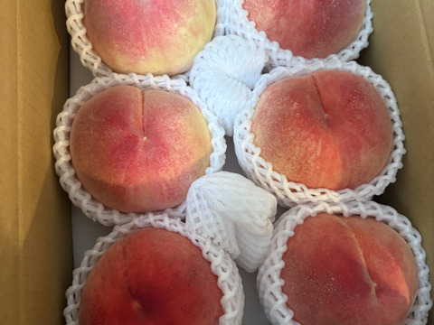 【7月収穫】かたい桃「あかつき」約２kg６～８玉１箱山梨県南アルプス上宮地産でお中元を