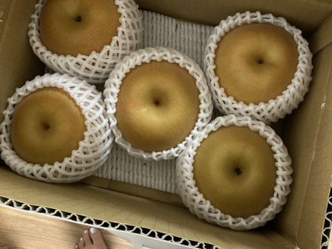 【南水２ｋｇ】糖度15°、超甘い、シャリ感、硬い、ジューシー、日保ちする信州生まれの優れもの！⑤【秀品】