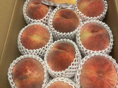 白根白桃（9月中旬お届け）【わけあり家庭用 3kg】ジュワッと果汁溢れる！白桃