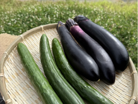 原画　夏野菜3枚セット 夏野菜セット - メルカリ