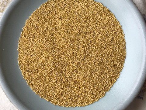 自然農で作りました！令和5年産もちきび400g