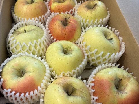 果汁多めの際立つ甘さのぐんま名月（約3㎏）家庭用