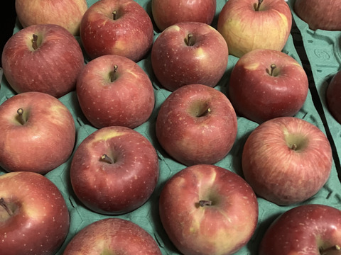 すぐ発送！5キロ 16-20 蜜入チェック済！樹上完熟蜜入葉取らずサンふじ　農薬半減栽培で安心安全