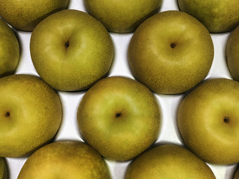 【ちょっとだけ訳ありですが良品です‼️】幸水梨5kg(12-16個入)甘くてとってもジューシー‼️少しの汚れや変形で、贈答用に入れなかった梨たちの詰め合わせ、味は贈答用とほとんど変わりません‼️