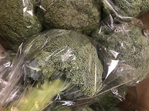 筋肉もりもり！ブロッコリー