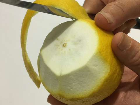 【自然栽培】日向夏８kg箱詰 -農薬不使用・無肥料・無除草剤-