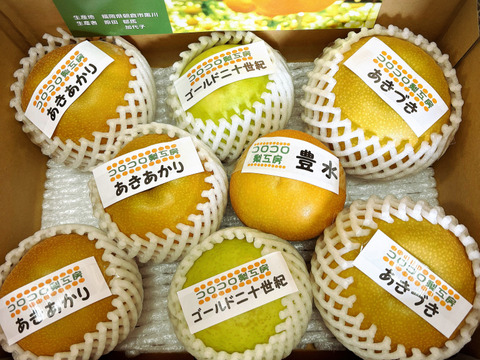 【旬の梨食べ比べ‼️3～5品種】何が届くかお楽しみ😋贈答用2.5kg以上、豊水・あきづき・かおり・あきあかり・二十世紀・南水・にっこり・新高・王秋・新興・愛宕の中から3品種以上詰め合わせます‼️