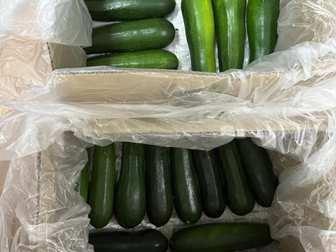 規格外、ズッキーニ群馬県産 (4kg)