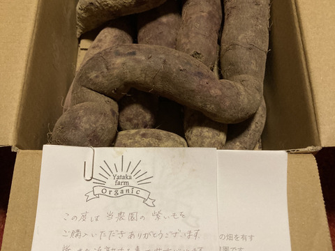 自然栽培土付き紫いも(あや紫)【訳あり】2kg美容・健康効果たっぷり