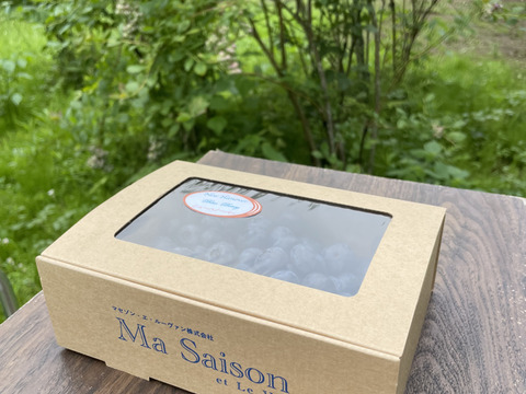 ブルーベリー　ニューハノーバー　糖度14度超　酸味と甘さのバランスが最高　生食やスイーツのトッピングに最適な品種です　贈り物にもどうぞ　写真の箱を2個セットでお送りします