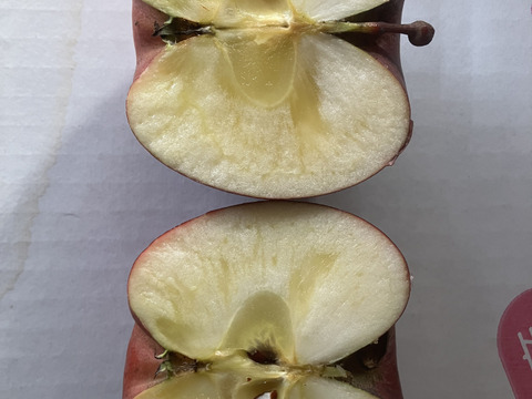 すぐ発送！宮美ふじ　家庭用訳あり小玉箱込10.5キロ　農薬半減栽培で安心安全！