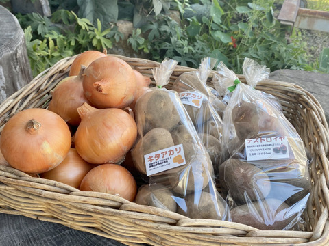 玉ねぎ3キロとキタアカリ、デストロイヤー1.2キロセット