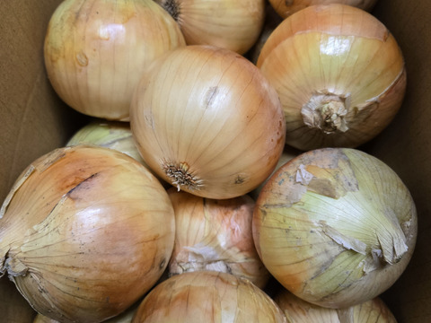 淡路島の玉ねぎ5kg【ひょうご安心ブランド認証・特別栽培・農薬化学肥料50%減】中生・晩生 加熱で甘みたっぷり