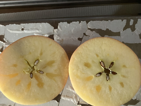 すぐ発送！宮美ふじ　家庭用訳あり小玉箱込5.5キロ　農薬半減栽培で安心安全！